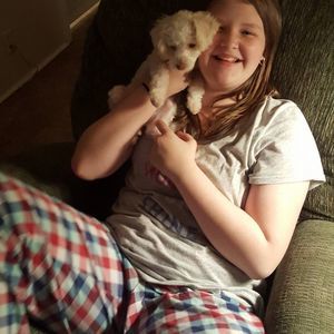 Meet your Posher, Autumn